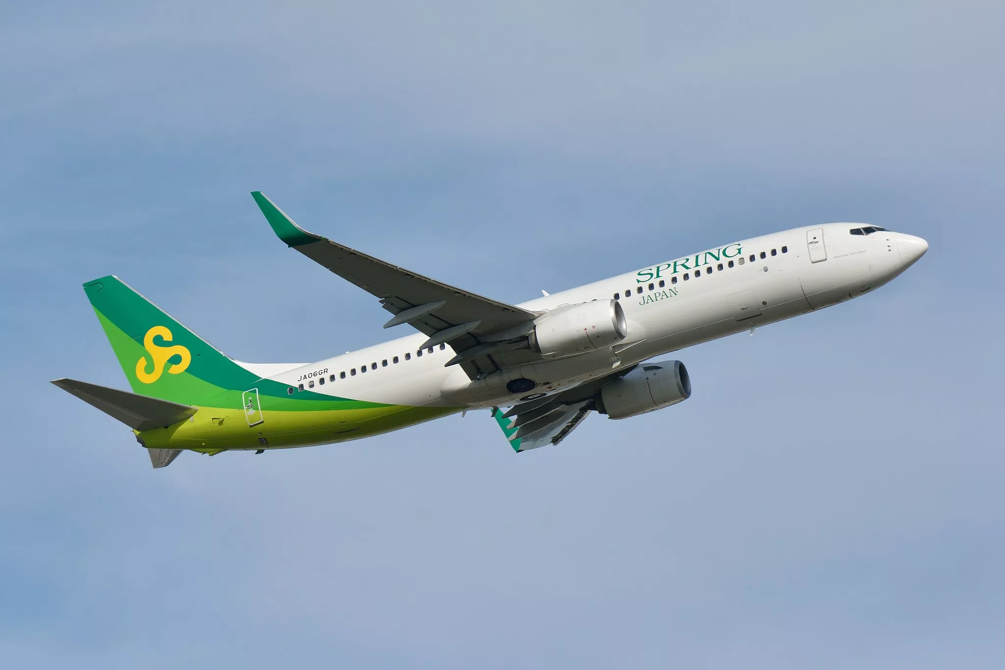 A Boeing 737-800 in service