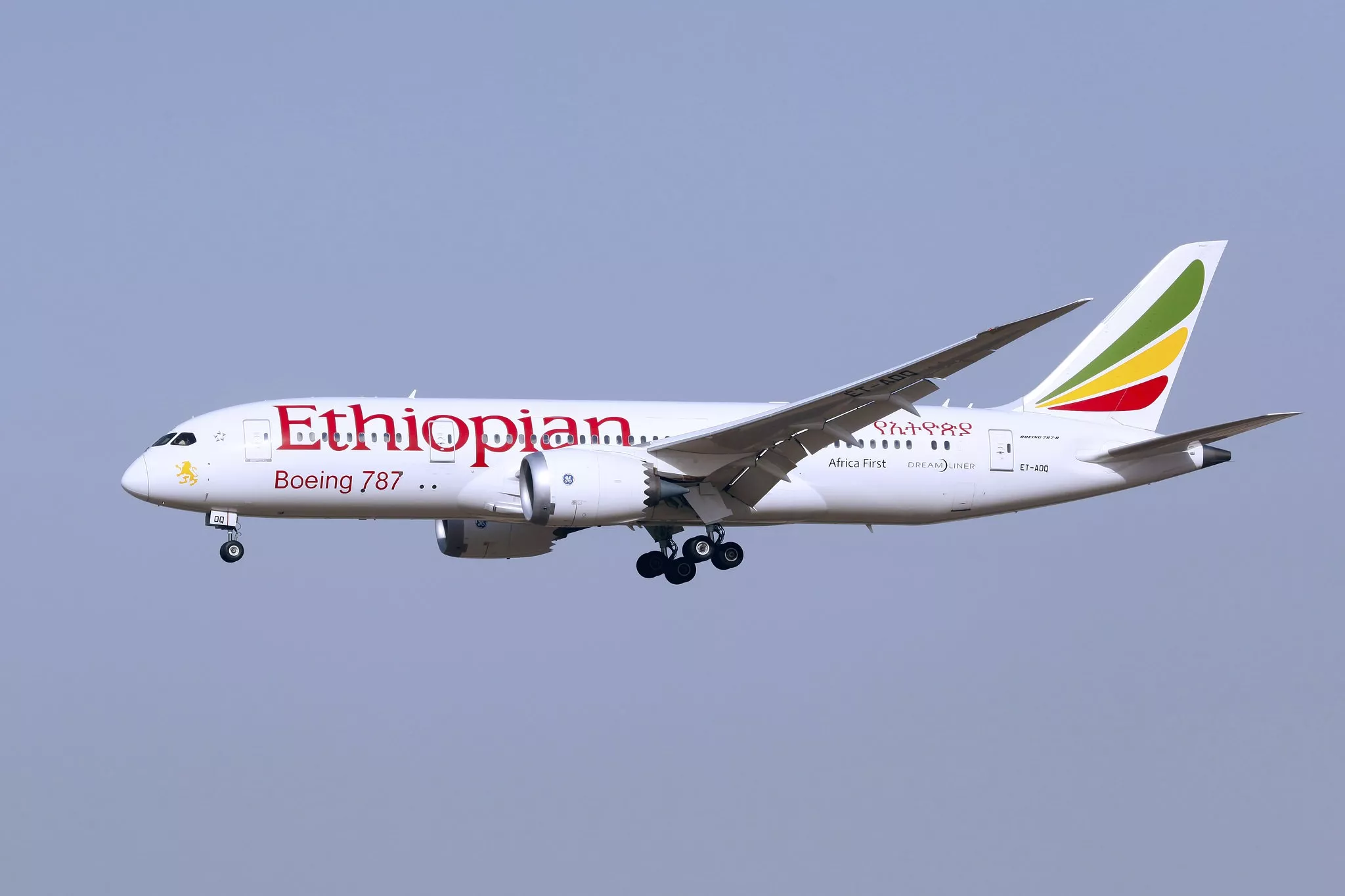 A Boeing 787-8 Dreamliner in service